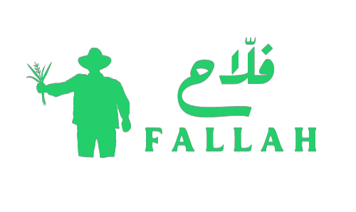 Fallah